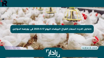 «عاجل الآن» أسعار الفراخ البيضاء اليوم 17-5-2025 في بورصة الدواجن